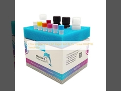 Chloramphenicol CAP Rapid Test Kit cho mô 0,05PPB Độ nhạy